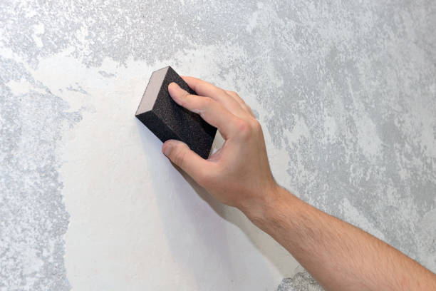 Best Forensic Mold Investigation  in Hoover, AL