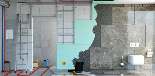 Trusted Hoover, AL Mold Removal Experts