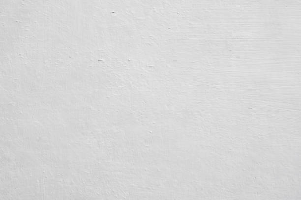 Best Mold Damage Restoration  in Hoover, AL
